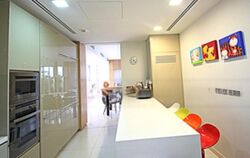 Sky@Eleven (D11), Condominium #477226211